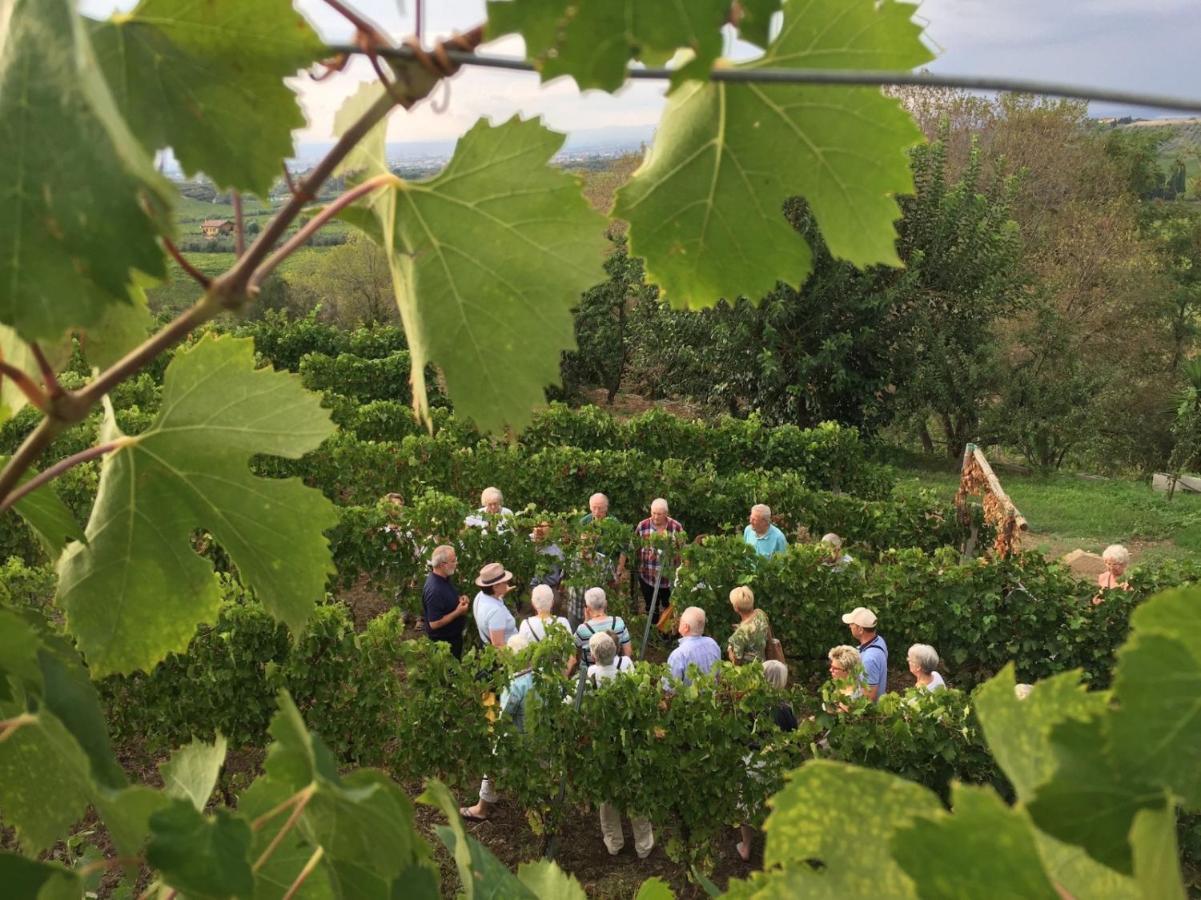 Merumalia Wine Resort Frascati Eksteriør bilde