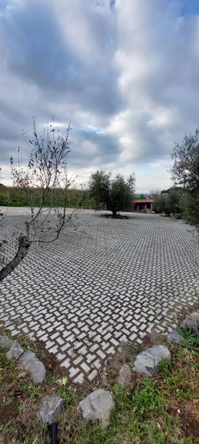 Merumalia Wine Resort Frascati Eksteriør bilde