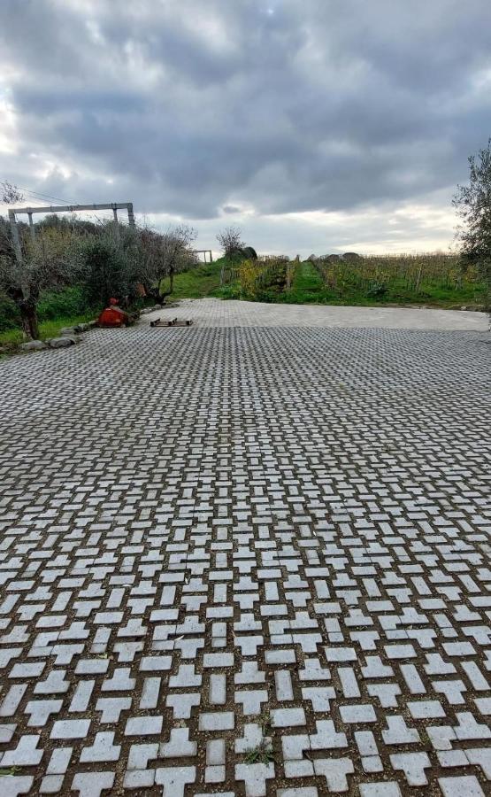 Merumalia Wine Resort Frascati Eksteriør bilde