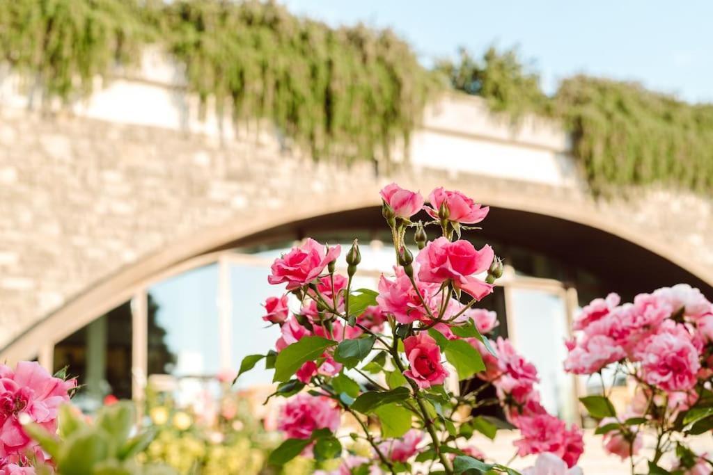 Merumalia Wine Resort Frascati Eksteriør bilde