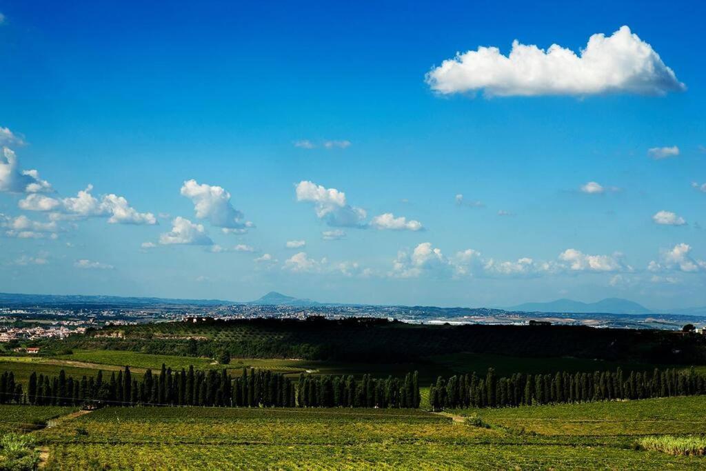 Merumalia Wine Resort Frascati Eksteriør bilde