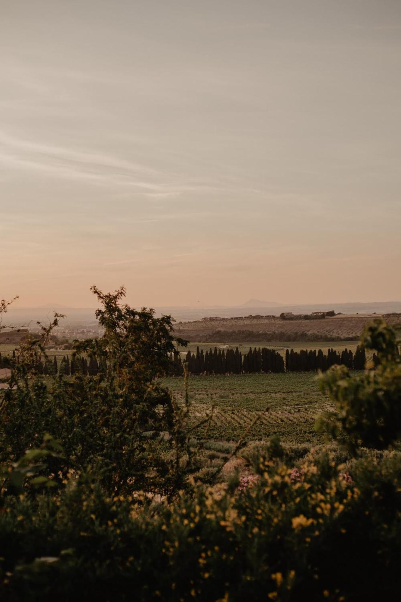 Merumalia Wine Resort Frascati Eksteriør bilde