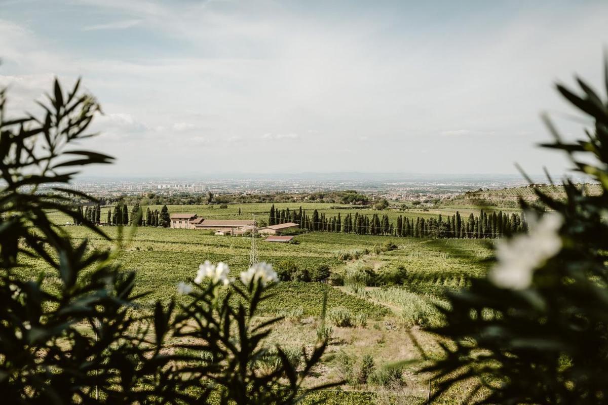 Merumalia Wine Resort Frascati Eksteriør bilde