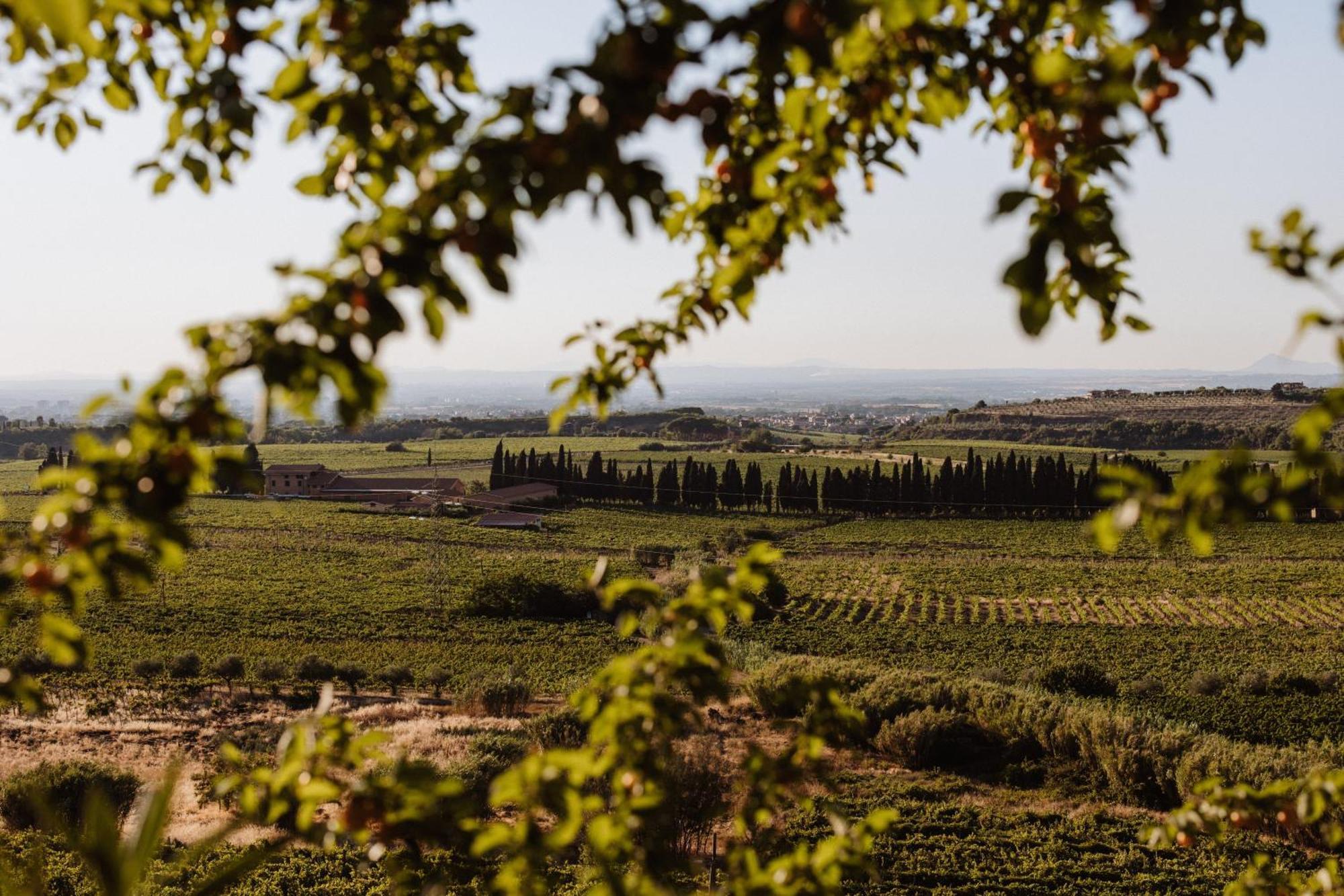 Merumalia Wine Resort Frascati Eksteriør bilde