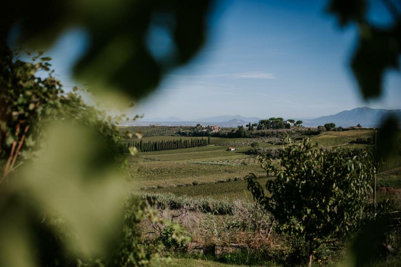 Merumalia Wine Resort Frascati Eksteriør bilde